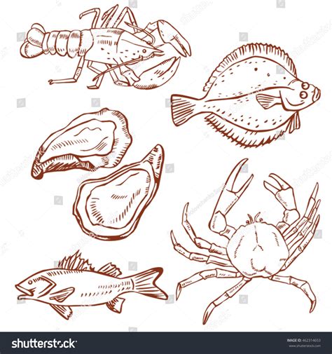 Seafood Drawing Set Stock Vector Royalty Free 462314653 Shutterstock