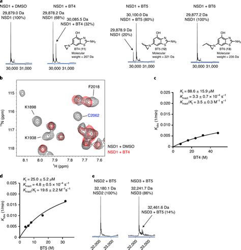 Characterization Of The Covalent Engagement Of Irreversible NSD1