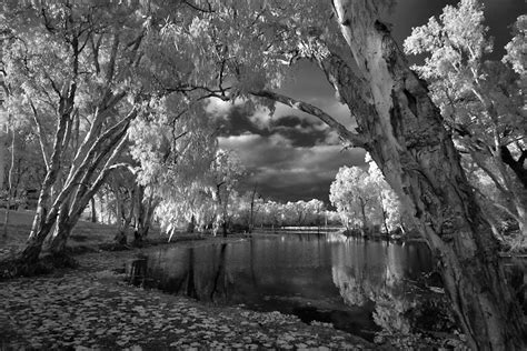 How To Enhance Your Black And White Images With Infrared Photography