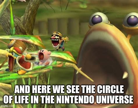 The Circle Of Life Nintendo Imgflip