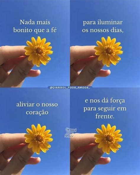 Girassol Frases on Instagram Boom diia meus girassóis