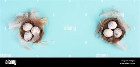 Easter Holiday Background Nest With Small Eggs Branches Of Pussy Willow Greeting Card Spring