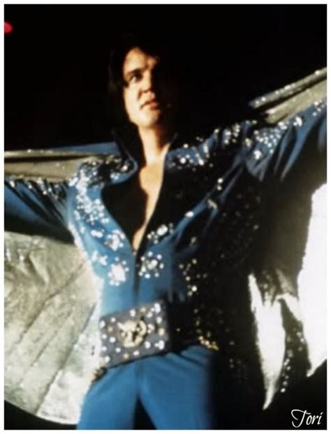 Elvis Royal Blue Fireworks Owl Jumpsuit Elvis Presley Elvis Presley Concerts Elvis Presley