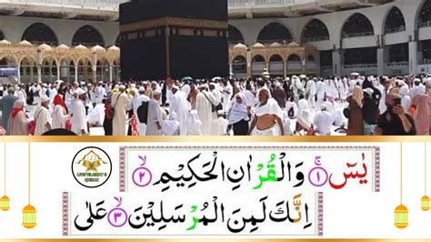 Surah Yasin Yasin Beautiful Quran Recitation Relaxing Qari Mohsin Voice