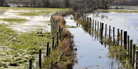 Flooding in Ireland | Newstalk