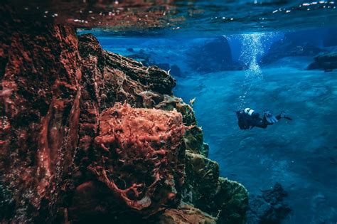 Scuba Diving in Iceland: Top Spots and Tips