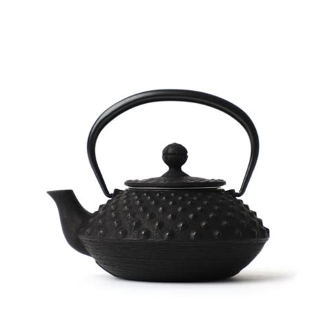 Iwachu Tetsu Kyusu Hira Arare Black 350ml