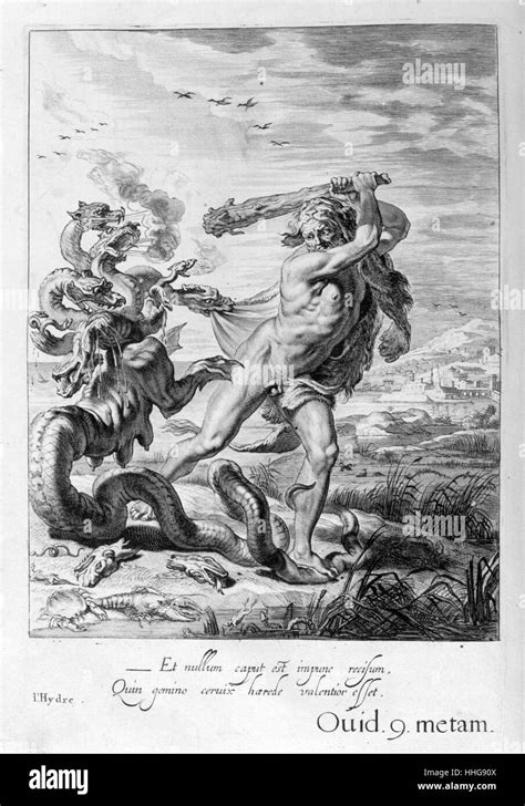 The Twelve Labours Of Hercules Black And White Stock Photos Images