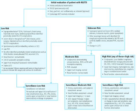 Spinal cord injury - The Urology Guy