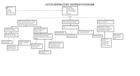 Ards Concept Map Pdf Breathing Respiratory System