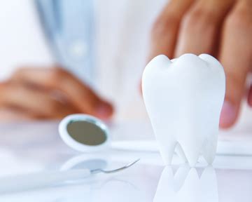 Антибиотики в стоматологии: насколько целесообразны предварительные ...