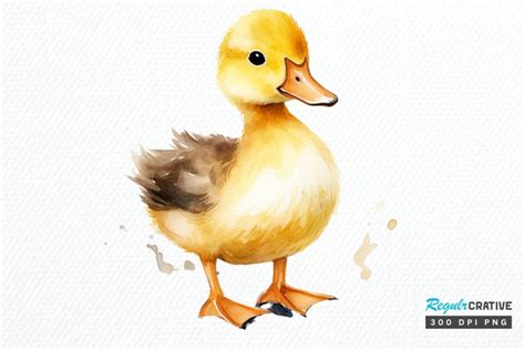 Cute Baby Duck Watercolor PNG Clipart