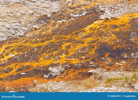 Sludge Stock Photo Image Of Fluid View Sludge Refuse 58866190