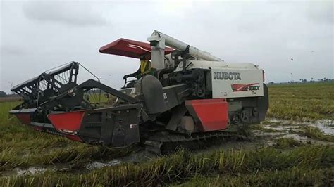 Amazing Harvesting Rice In Japan [kubota Dc105 X] Youtube