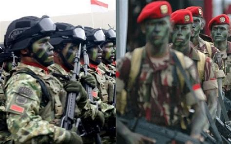 Perbedaan Kopassus Dan Kostrad Satuan Elite Kebanggaan Tni Ad Yang