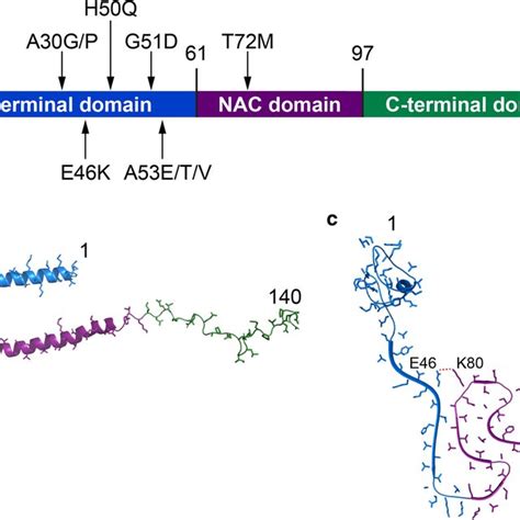 Α Synuclein Fibrils Isolated From Multiple System Atrophy Patient