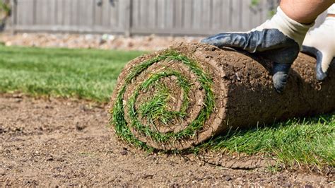 Turf Tips And Tricks From Park Avenue Sod