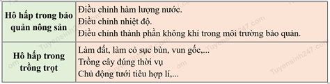 Lý thuyết ứng dụng hô hấp thực vật vào thực tiễn sinh 11