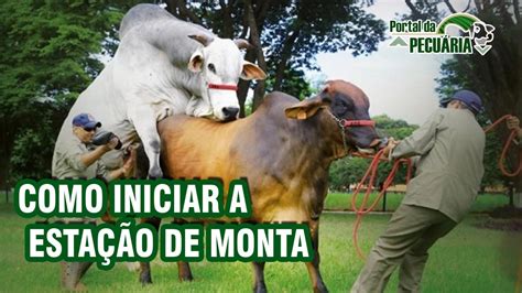 Como iniciar a estação de monta YouTube