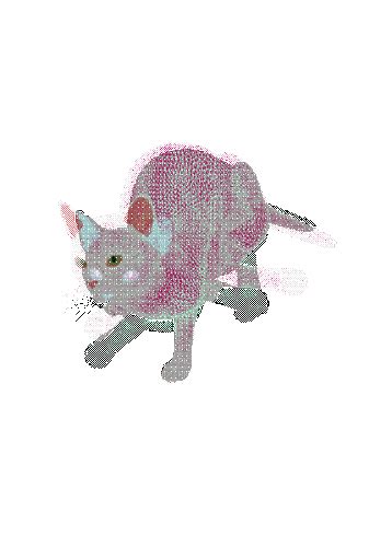 vaporwave cat, cat , vaporwave , gif , glitch - Free animated GIF - PicMix