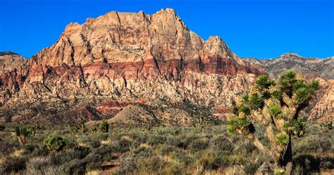 Red Cliffs National Conservation Area Mohave Desert