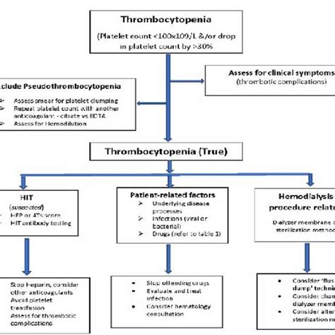 Approach To New Onset Thrombocytopenia In A Hemodialysis Patient Download Scientific Diagram