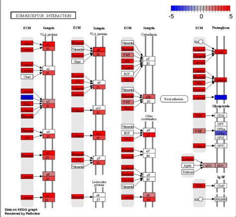 Cross Species Transcriptomic Comparison Of In Vitro And In Vivo