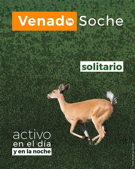 Parques Nacionales Naturales De Colombia On Twitter Todos Somos