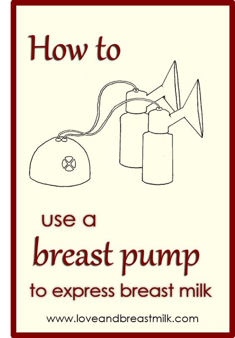 Pumping 101 How To Use A Breast Pump Love And Breast Milk