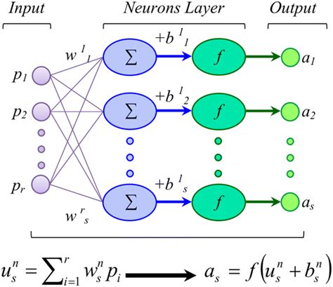 One Layer Neural Network That Feed With R Inputs And S Outputs Download Scientific Diagram