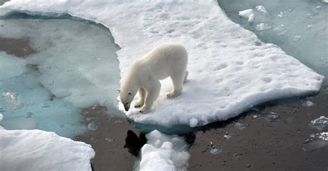 IPCC Fünf Szenarien für den Klimawandel