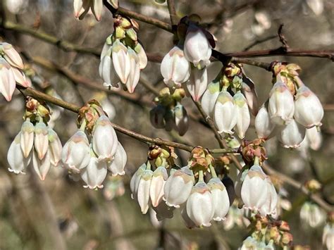 Bubble Truck - Dallas... - Bubble Truck - Dallas - Fort Worth