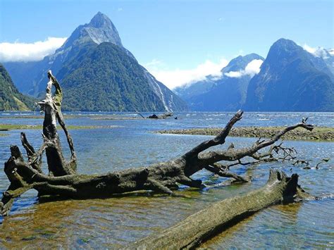 The best Fiordland National Park hiking trails - We12Travel