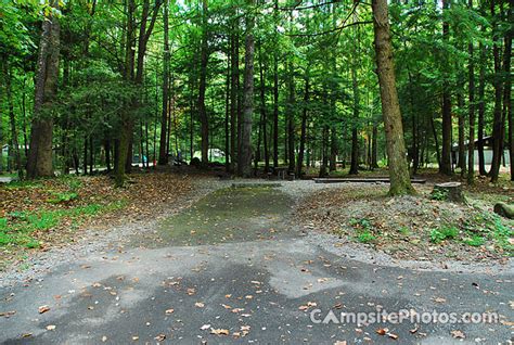 Elkmont - Campsite Photos, Campground Availability Alerts