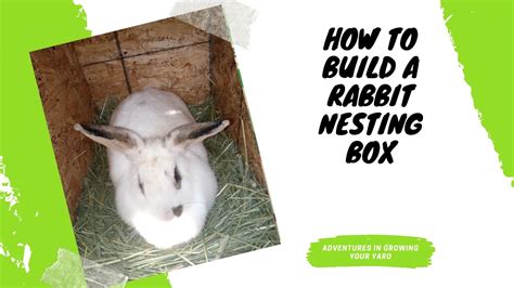 How To Build A Rabbit Nesting Box Youtube