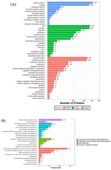 Molecules Free Full Text Insight Of The Functional And Biological