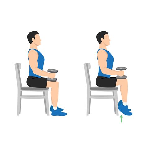 Man Doing Seated Dumbbell Or Chair Calf Raises Keep Both Legs At A 90