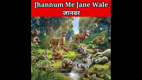 Jhannum Me Jane Wale Janwar Shorts🕋🕋🐍 Youtube