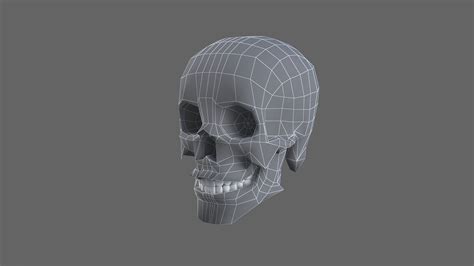 Human Skull 3d Model Turbosquid 1741741