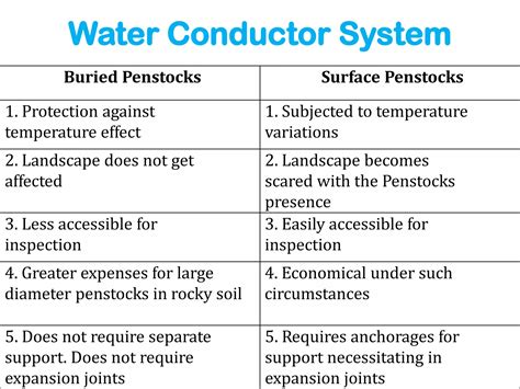 Elements Of Water Conductor System Ppt