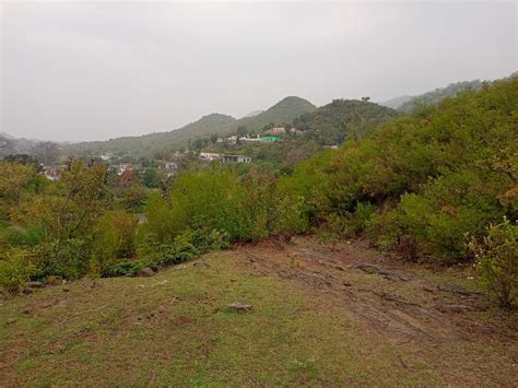 rag nadr khan mandl ayk hryt psnd gs  krdar ko tarykh  ma dya gya
