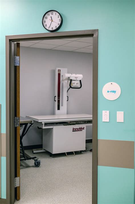 Voorhees Urgent Care Vet | AcutePet