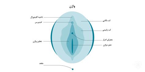 رابطه جنسی سکس و انواع آن آموزش داشتن سکس خوب برای همه