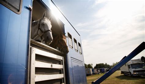 Most Expensive Horse Trailer In The World