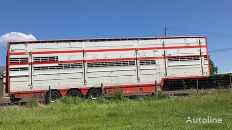 Pezzaioli SBA32 Livestock Semi Trailer For Sale Ireland DK35278