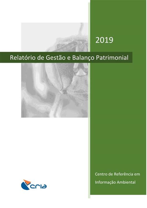 Relatório De Gestão E Balanço Patrimonial Docslib