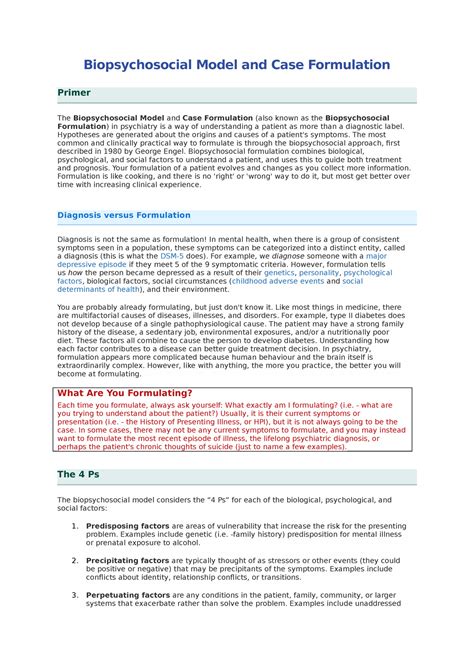 Biopsychosocial Model And Case Formulation Hypotheses Are Generated