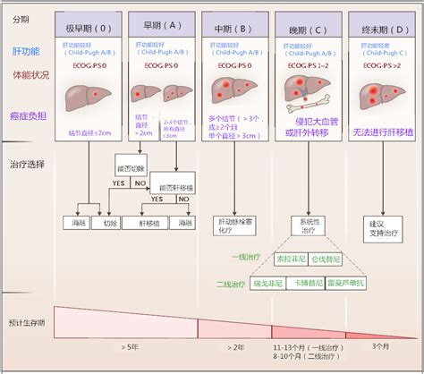 肝细胞癌新见解，这5点你必须知道｜专家视角肝细胞癌医脉通