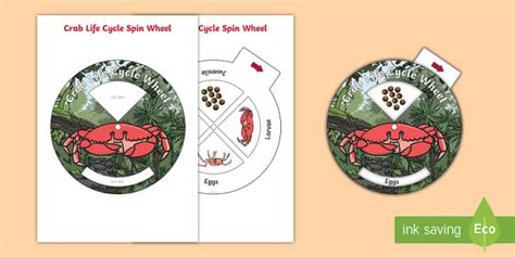 Crab Life Cycle Wheel Activity Teacher Made Twinkl