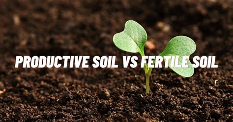 Differences Between Fertile And Infertile Soils At Sophie Haynes Blog